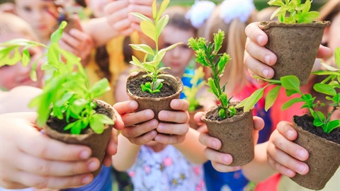 children's hands with seedlings in pots