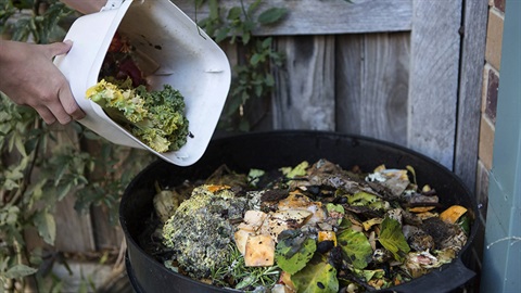 Adding food scraps to a compost bin
