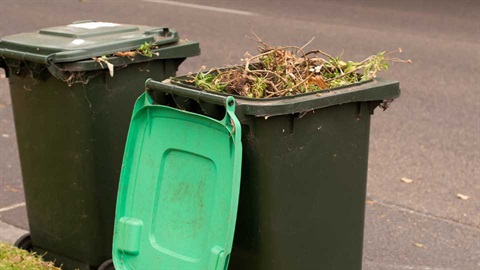 food and green waste bins