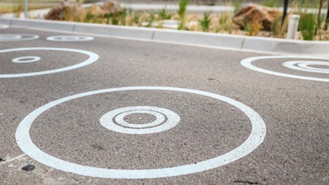 Full  Size City of Darebin 1496 Elsey Road Raingarden Circles on Road