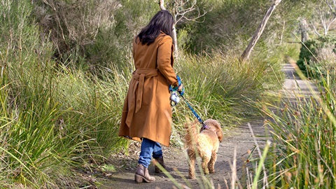 A woman walking her dog in a park