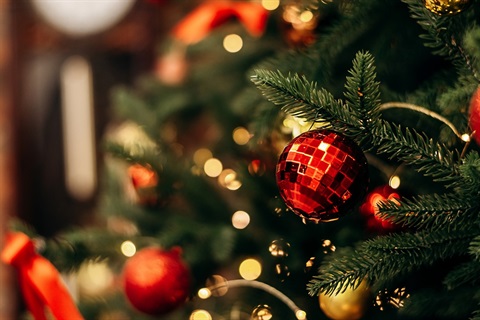 Festive season decorations 1080px.jpg