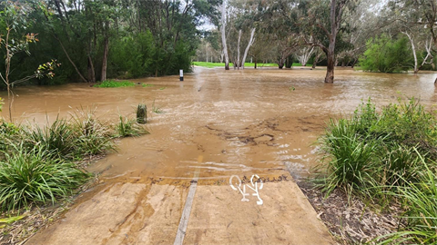 Flood at Darebin Parkland