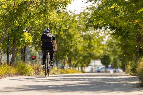 Thornbury-BikePath.jpg