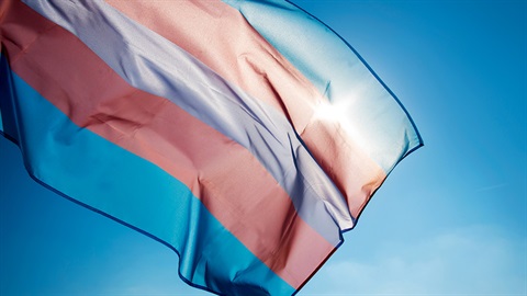 Transgender flag.jpg