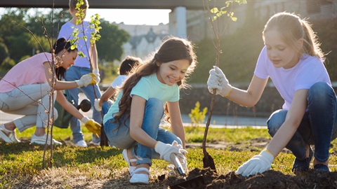 Volunteers planting trees in a park