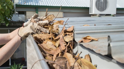 Removing leaves from gutters to reduce fire risk