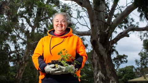 Person holding tree seedling