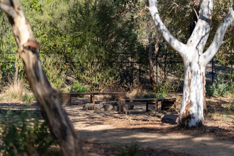 Wurundjeri Gardens - Darebin City Council.jpg