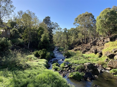 Darebin Creek.jpg