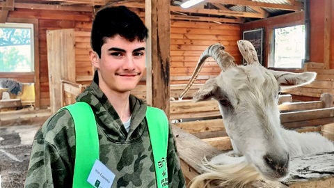 Boy doing work experience at Bundoora Park farm