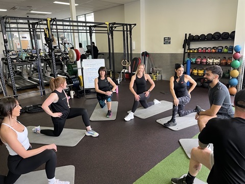 Intro-to-Rezfit.jpg
