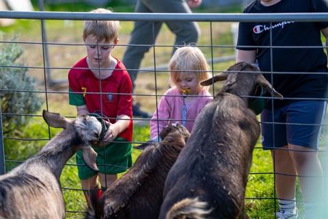 MattKrumins_COD-BundooraParkFarm_00608_250423.jpg