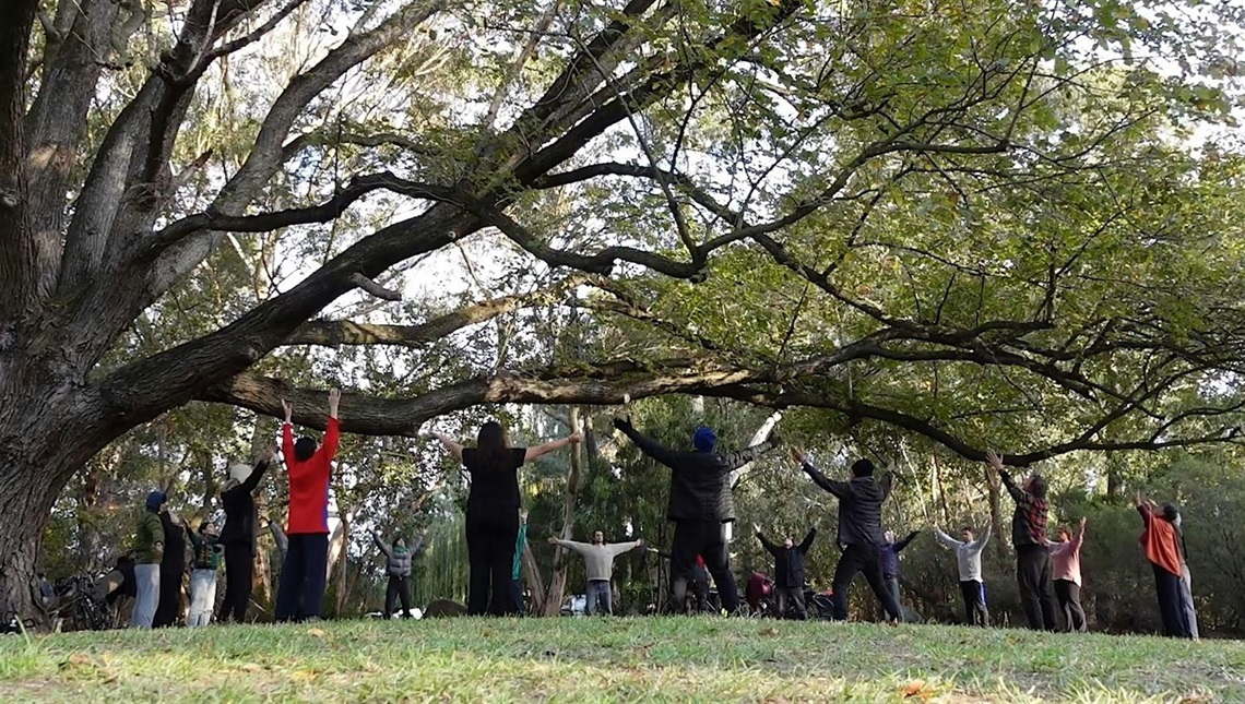 A group of people under a tree stretch their arms out wide