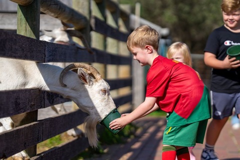 school-holiday-activities.jpg