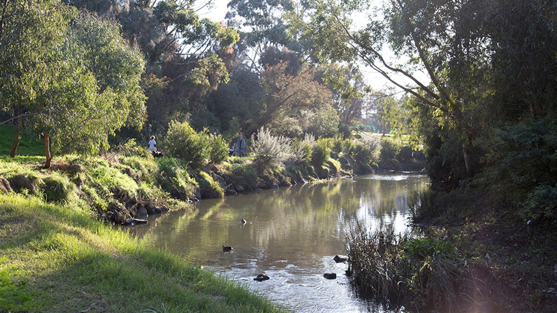 Walking path alongside Edgars Creek