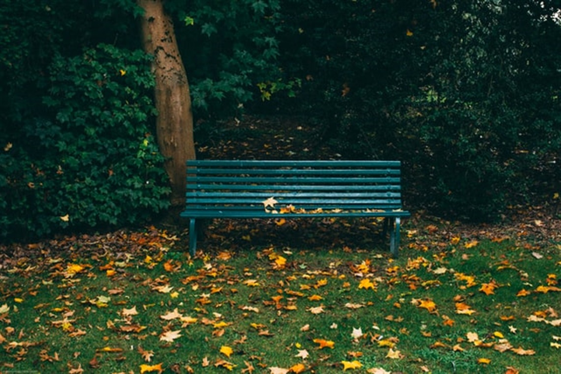 park bench