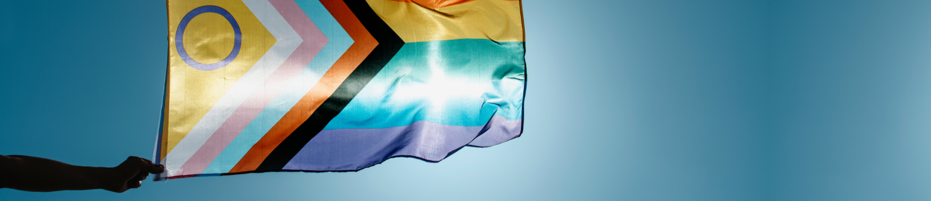 Progress Pride Flag Rainbow.png