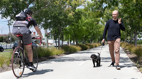 Cyclist and pedestrian sharing a path