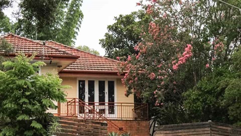 House with trees