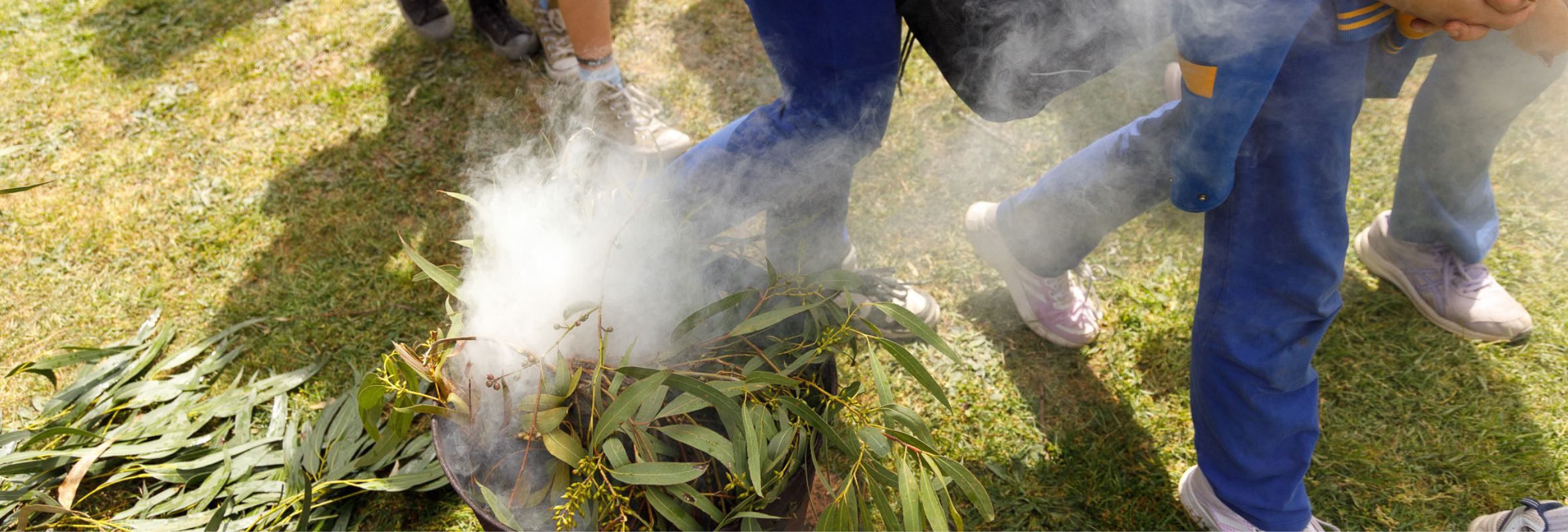School children in blue and yellow uniform working past smouldering gum leaves and branches as part of a Welcome to Country ceremony