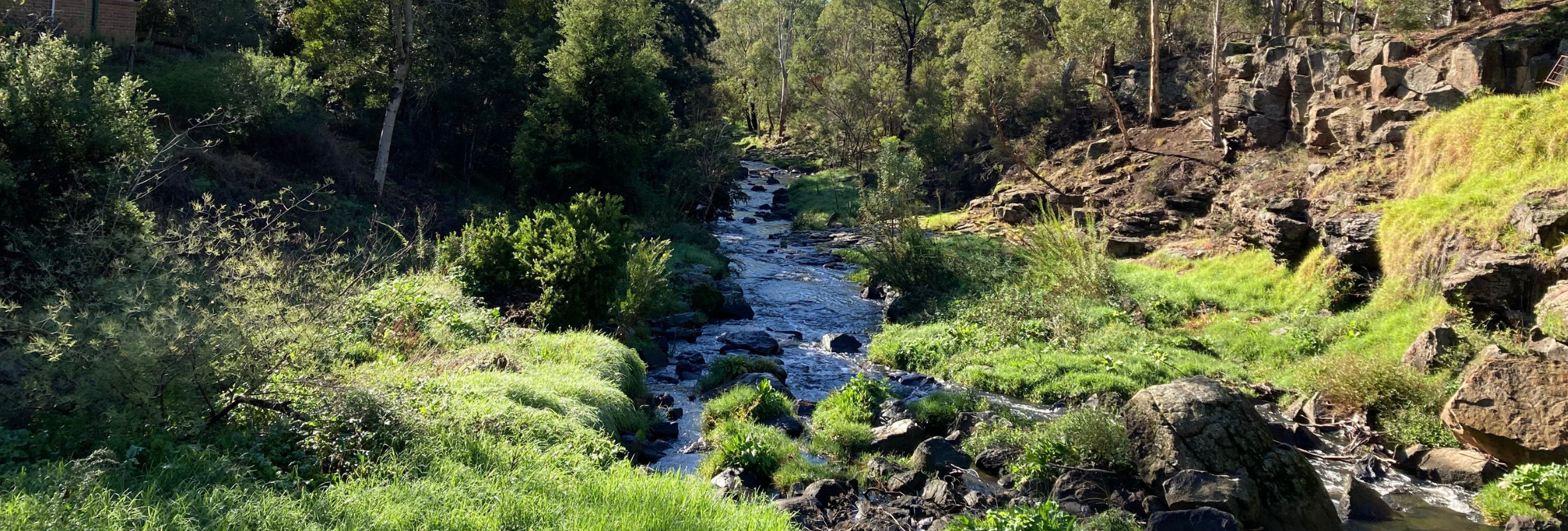 Website Banner Template - Darebin Creek.png