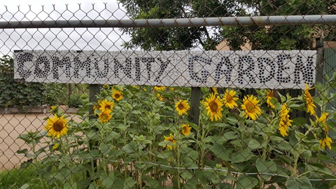Community Garden sign with sunflowers in background