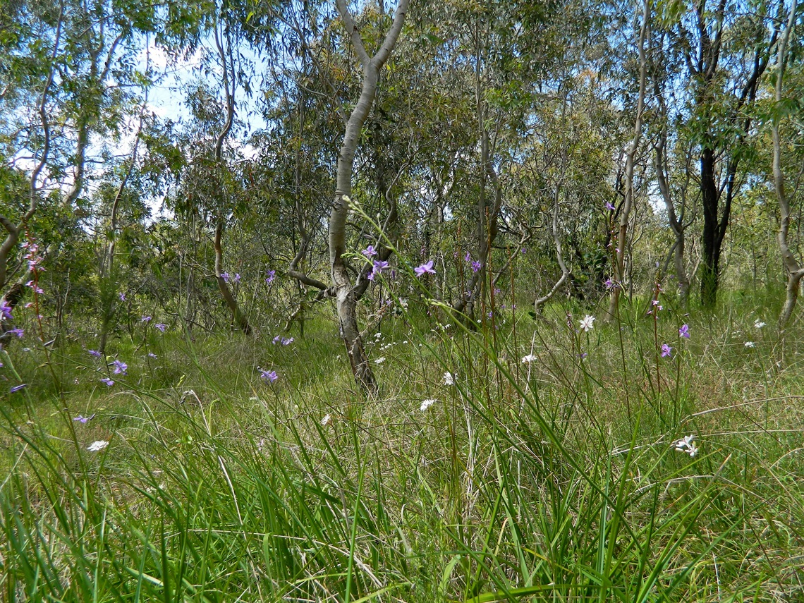 MainImage.jpg