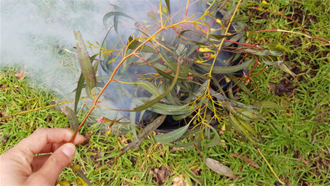 naidoc-week-smoking-ceremony.png